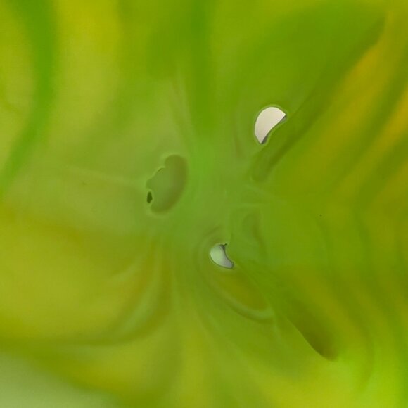 Grinch Latex Mask - Picture 7 of 7